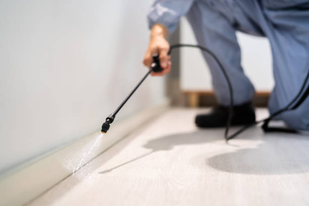 Licensed Pest Control service in South Corning, NY - Show Me Pest Control